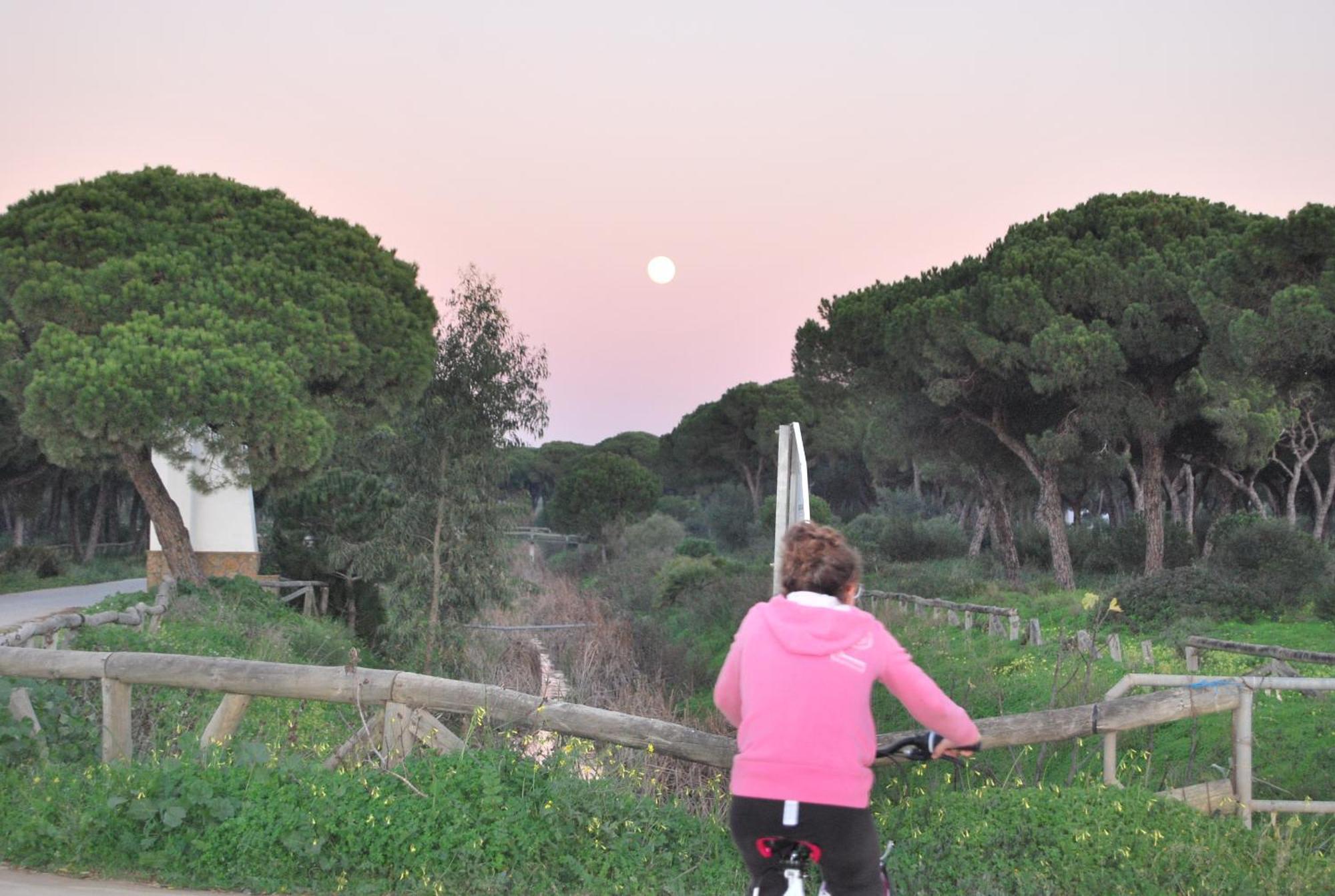 Tranvia Beach House Chipiona Εξωτερικό φωτογραφία