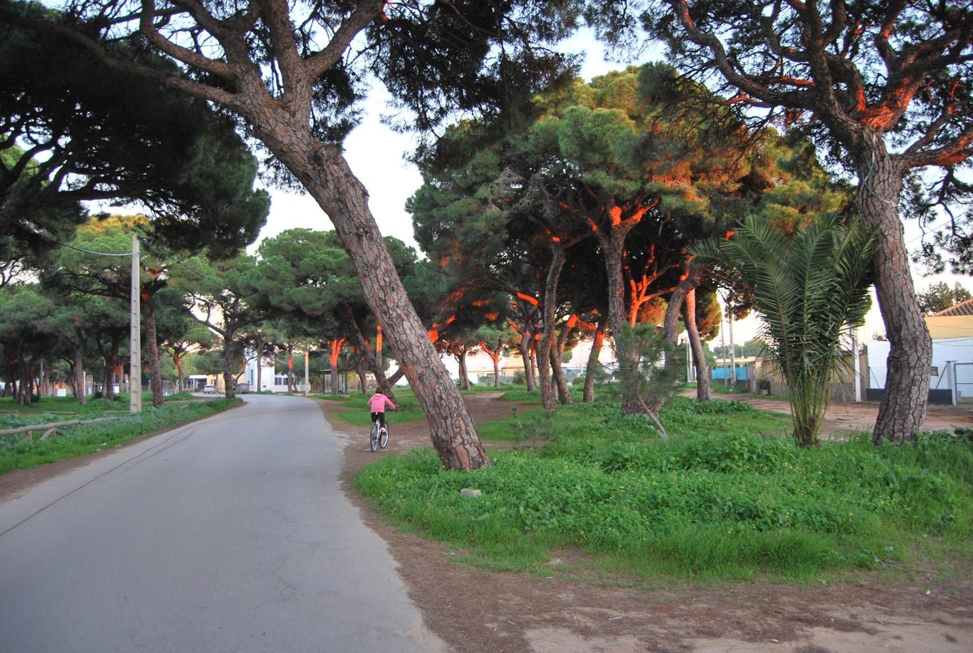 Tranvia Beach House Chipiona Εξωτερικό φωτογραφία